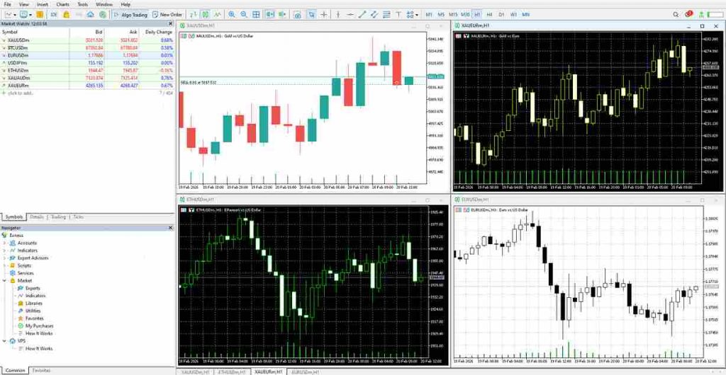 exness multi assets