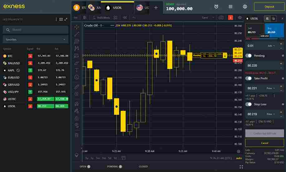 web interface
